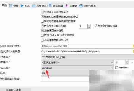 HeidiSQL设置浅色主题教程