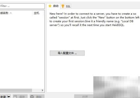 HeidiSQL如何设置浅色主题