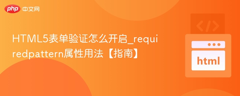 HTML5表单验证required与pattern使用教程