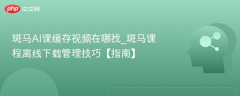 斑马AI课缓存视频在哪找_斑马课程离线下载管理技巧【指南】