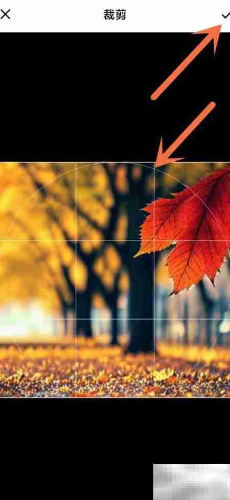 如何更换你说我猜头像