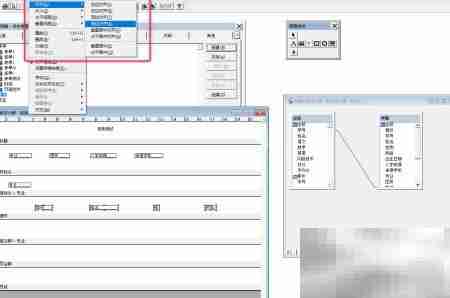 VF6.0报表布局设计技巧
