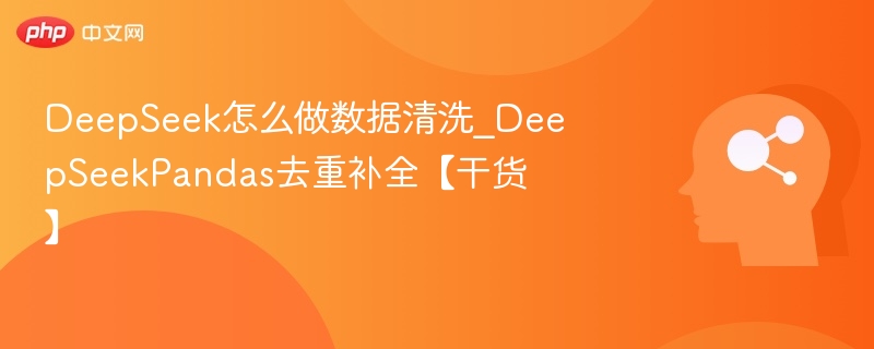 DeepSeek数据清洗：Pandas去重补全技巧解析