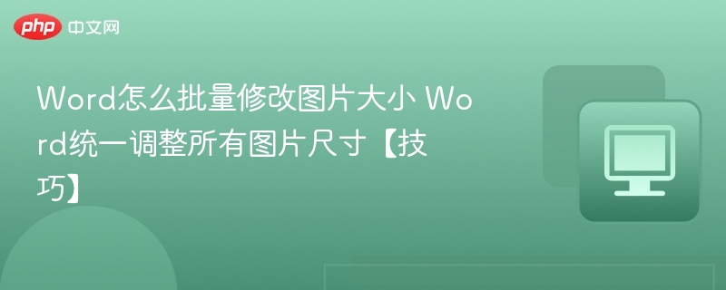 Word批量调整图片尺寸的实用方法