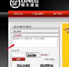 如何在线打开顺丰快递查询入口