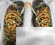 小学生拒烟拒酒教育策略