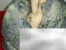 小学生拒烟拒酒教育策略