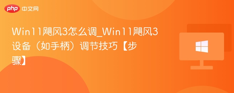 Win11飓风3怎么调_Win11飓风3设备(如手柄)调节技巧【步骤】