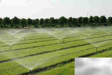 土地流转实践案例精选