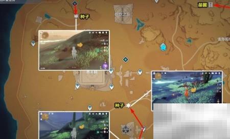 原神苗圃任务攻略详解