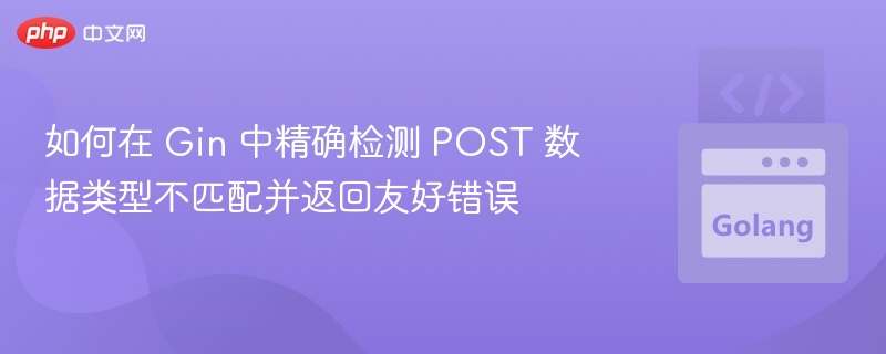 Gin 检测 POST 类型错误的正确方法