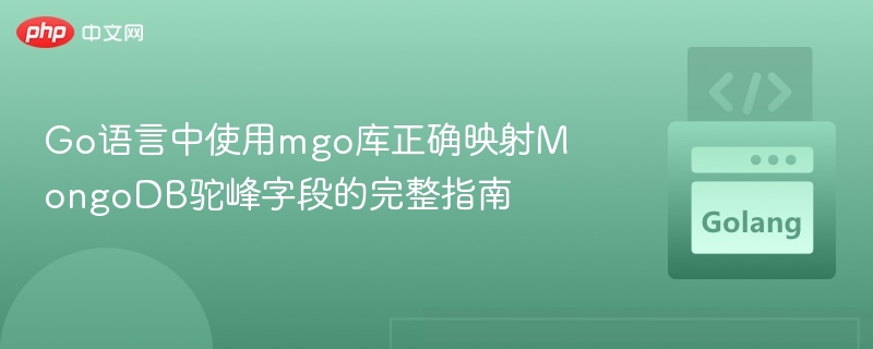 Go中mgo映射MongoDB驼峰字段全攻略