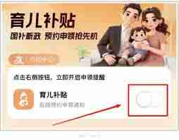 2025育儿补贴申请入口官网在哪