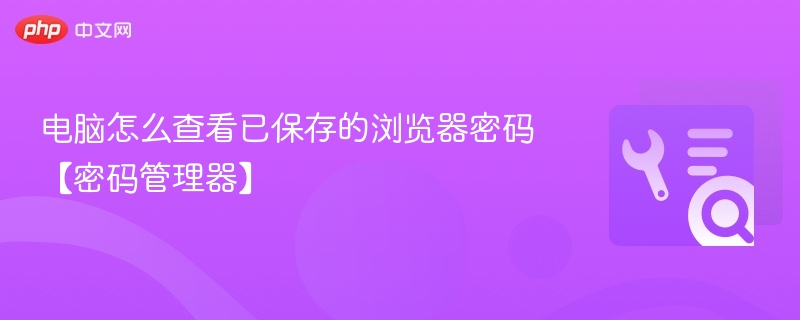 电脑怎么查看已保存的浏览器密码【密码管理器】