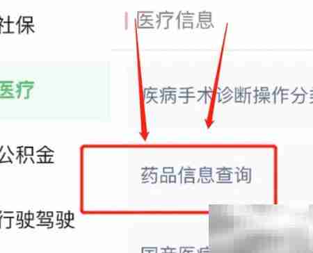 线上查询药品信息指南