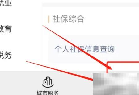 如何正确在线查询药品信息