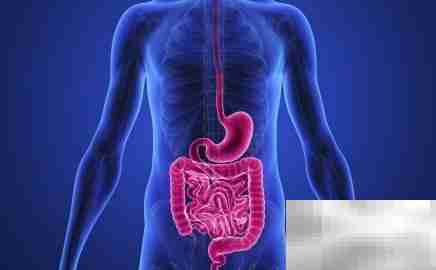 临床执业医师必知重点