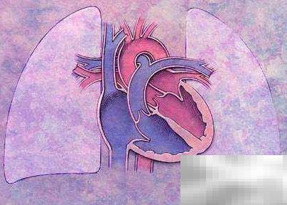 临床执业医师考点全解析与记忆技巧