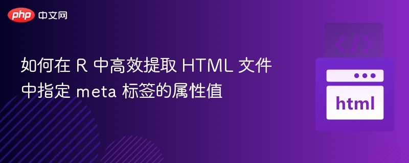 如何在 R 中高效提取 HTML 文件中指定 meta 标签的属性值