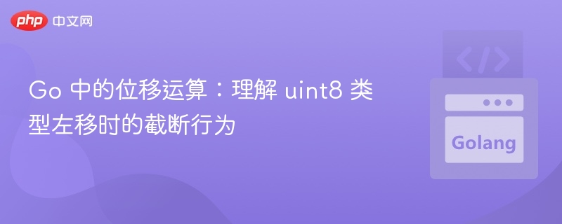 Go 中的位移运算：理解 uint8 类型左移时的截断行为
