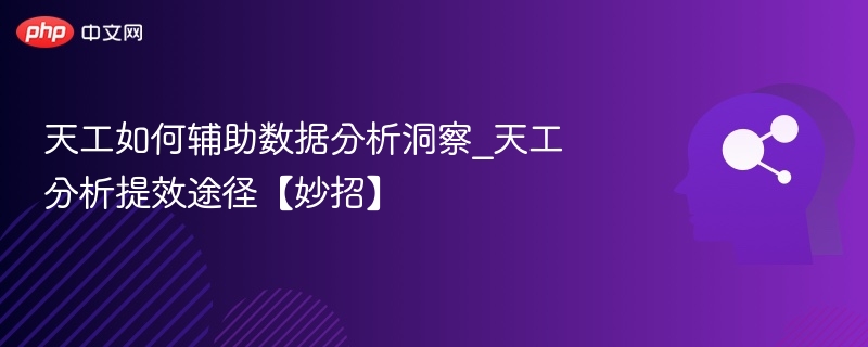 天工提升数据分析效率的方法解析