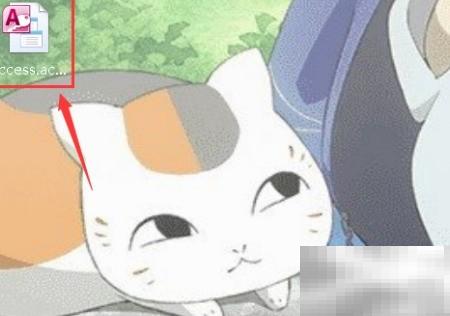 Access文本框控件设置教程