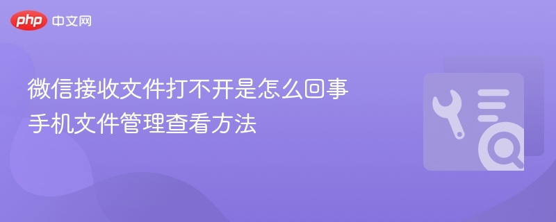 微信接收文件打不开是怎么回事 手机文件管理查看方法