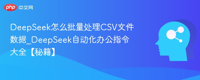 DeepSeek处理CSV数据的实用技巧