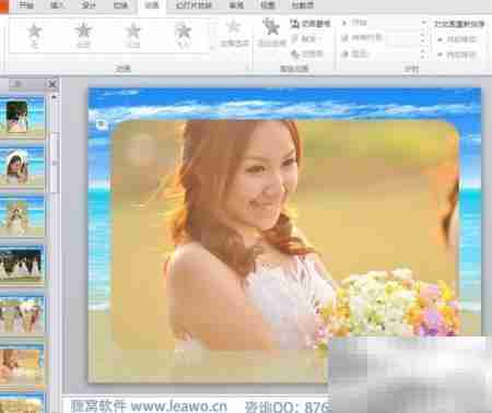照片刻录DVD完美指南
