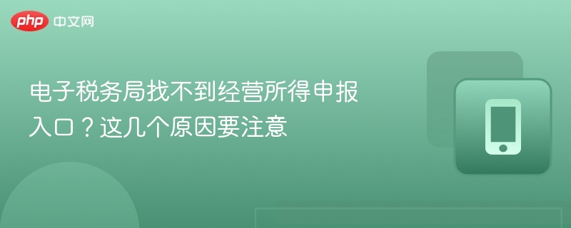电子税务局找不到经营所得申报入口？这些原因要留意