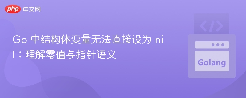 Go 中结构体变量无法直接设为 nil:理解零值与指针语义