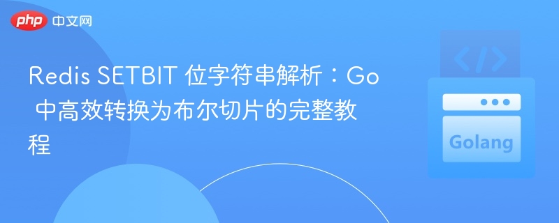 RedisSETBIT位操作：Go转布尔切片方法
