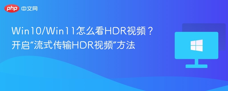 Win10/Win11开启HDR视频流方法