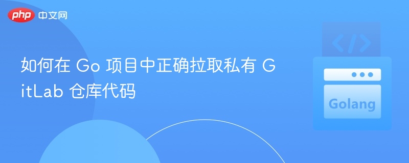 Go项目拉取私有GitLab代码方法