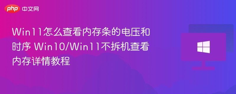 Win11怎么查看内存条的电压和时序 Win10/Win11不拆机查看内存详情教程
