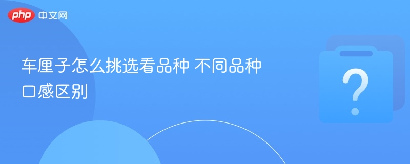 车厘子怎么挑？不同品种口感全解析