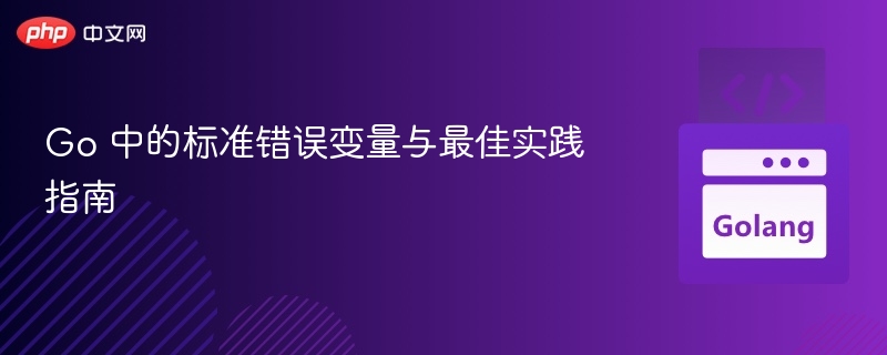 Go错误变量使用技巧与实践方法