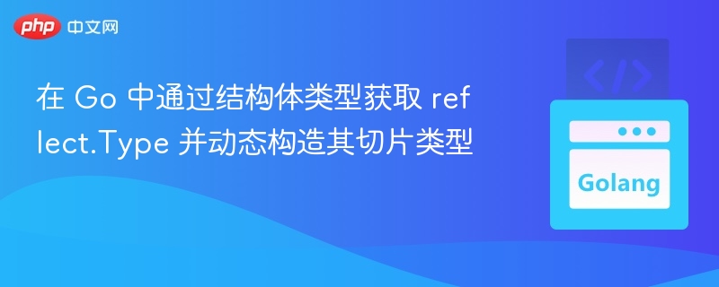 Go结构体反射与切片构造技巧