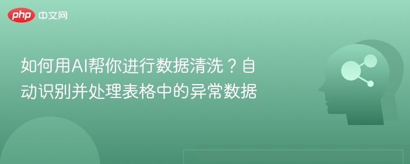 如何用AI帮你进行数据清洗?自动识别并处理表格中的异常数据