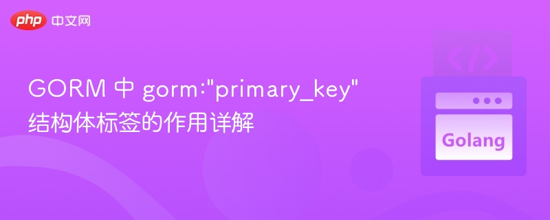 GORM之primary_key标签详解