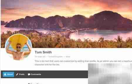 Ultimate Member个人中心功能