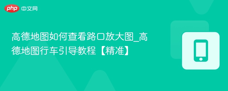 高德地图怎么查看路口放大图
