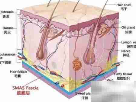 超声刀副作用三步解析