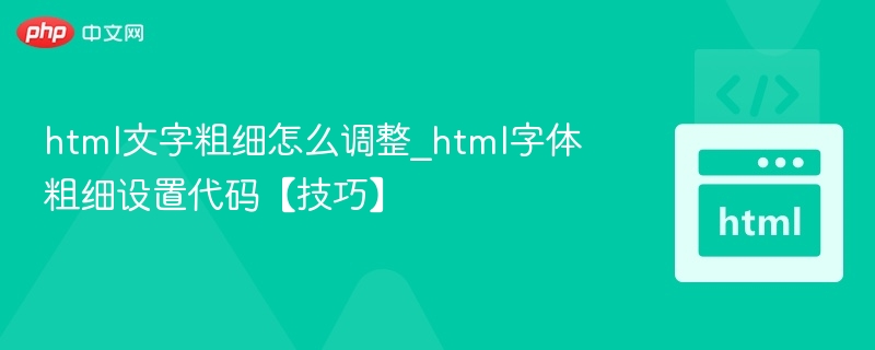 HTML字体加粗技巧分享
