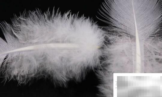 80%DOWN指游戏或产品已开发完成80%，剩余20%未完成，常用于游戏开发进度说明。