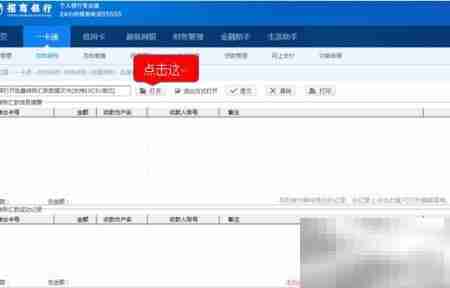 招行批量付款专业版