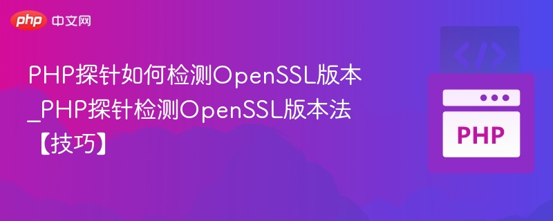 PHP探针检测OpenSSL版本技巧