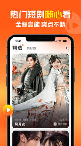 风芒app视频下载技巧分享