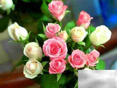 巧解英语单选题