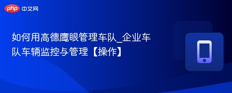 如何用高德鹰眼管理车队_企业车队车辆监控与管理【操作】